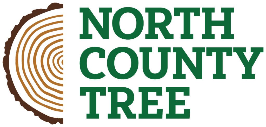 North County Tree